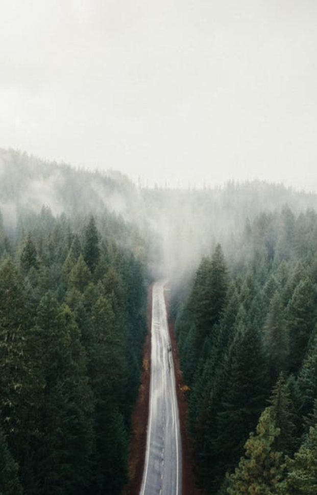 Crooks and Company Steps Image